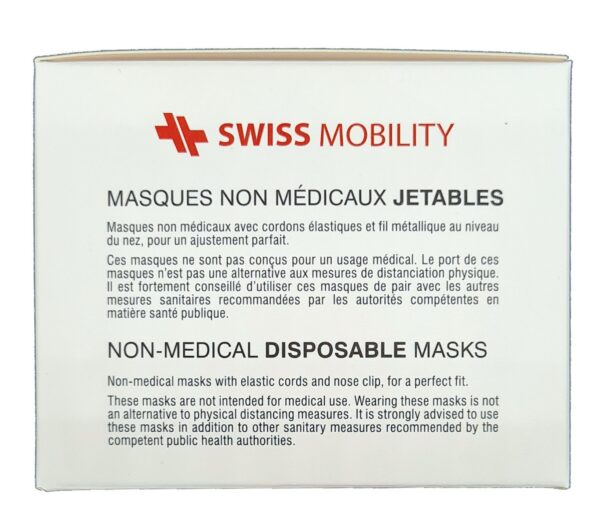 Case of 2000 - Non-Medical Disposable Masks-10935
